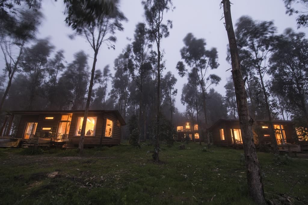 Cabañas La Trilla - Constructora Fass